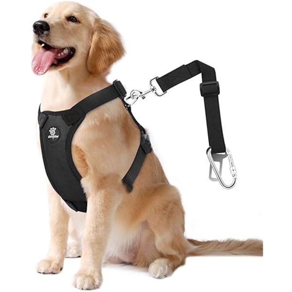 Crash-tested harnesses