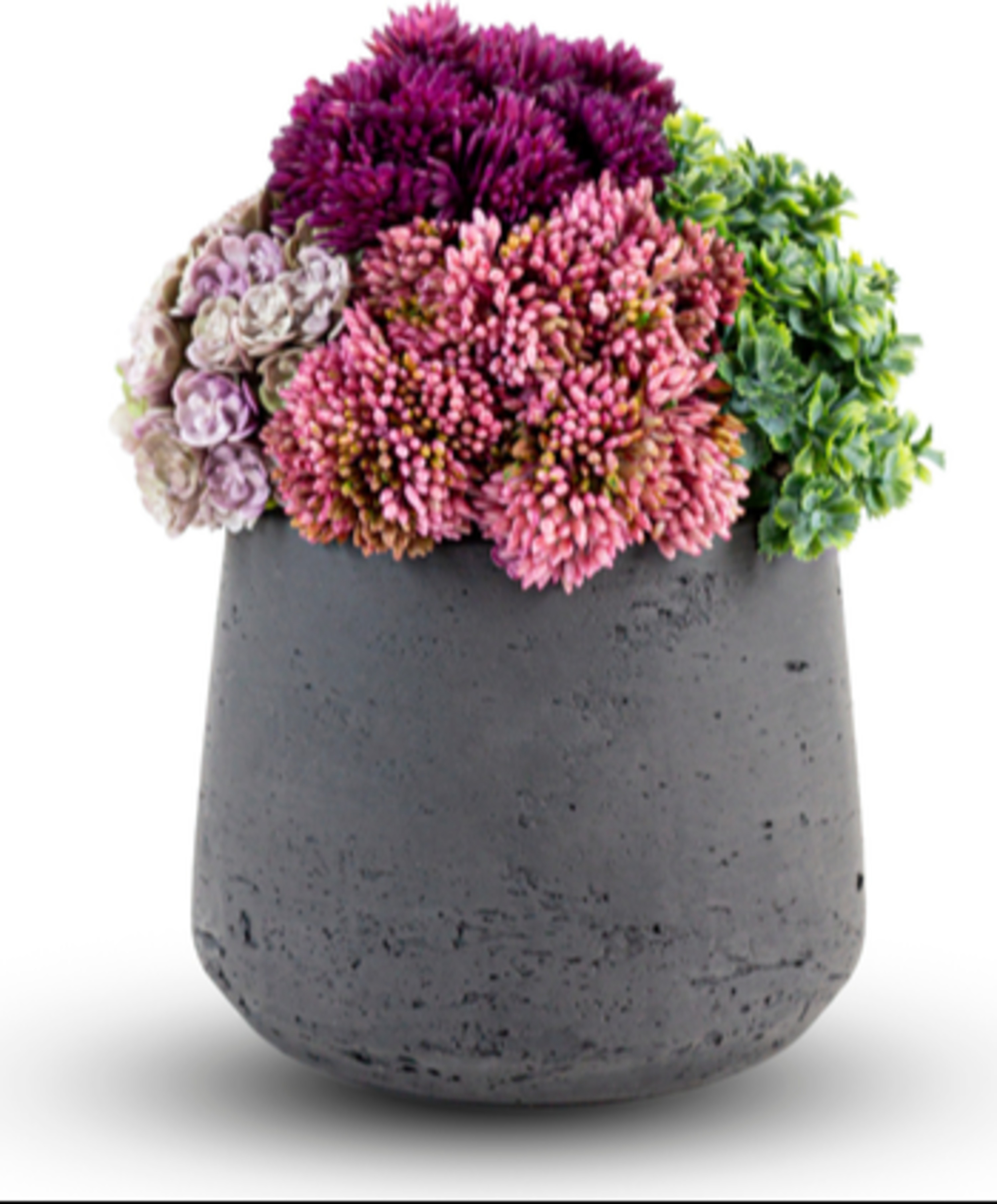 CocoBella | Neriah Mini Sedum Arrangement