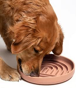 Lick mats