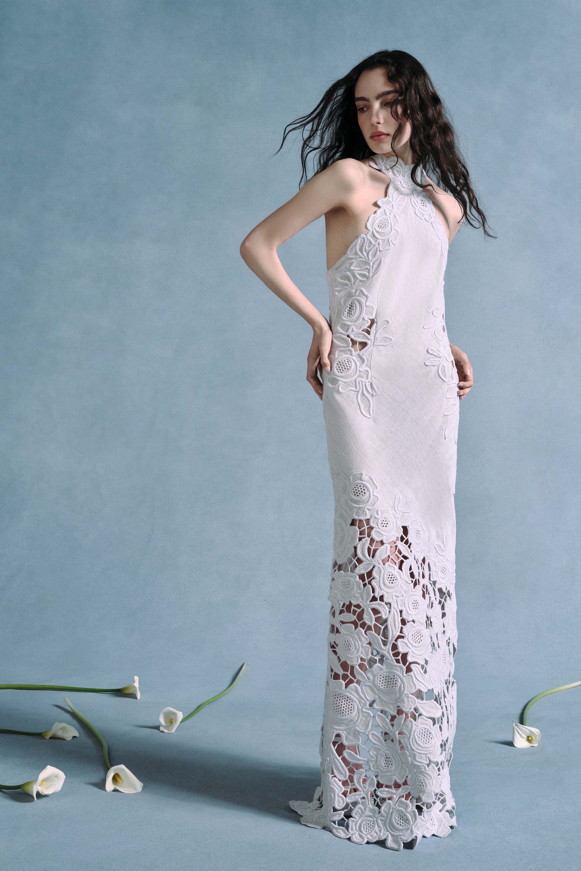 chinese dress ladies SERENA MIDI DRESS | CULT MIA