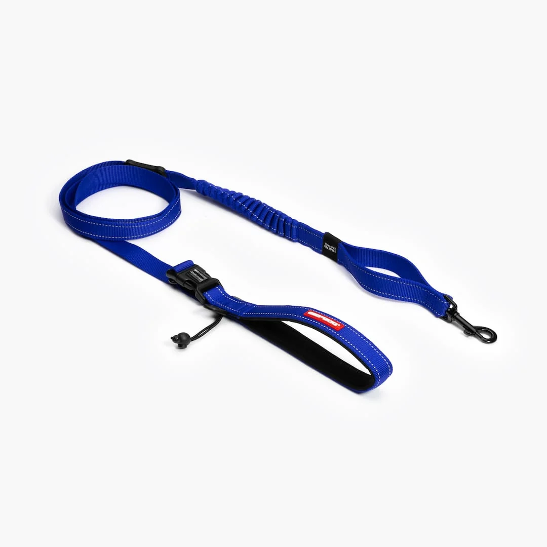Hands-free leashes