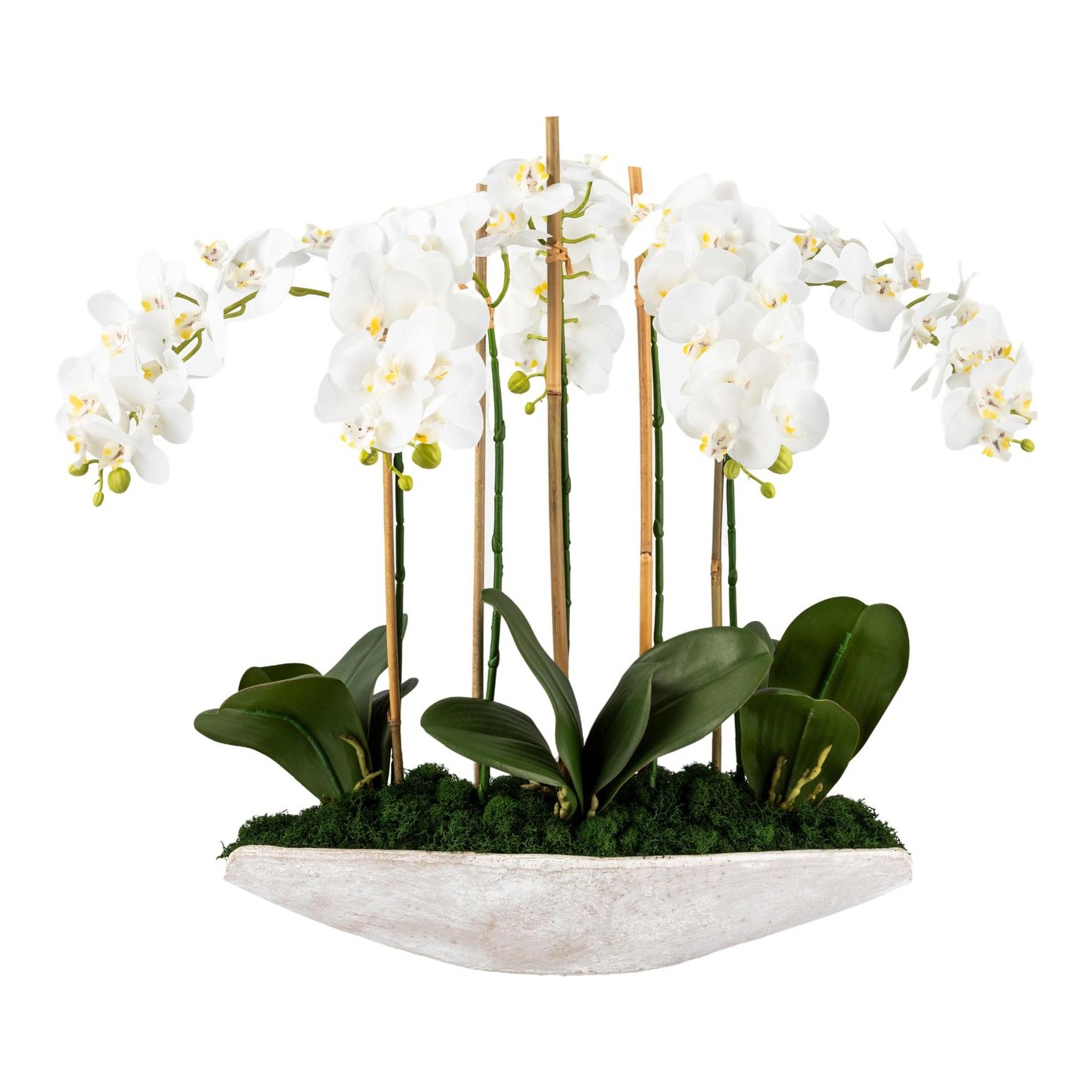 CocoBella | Ciara Realtouch Orchid Planter