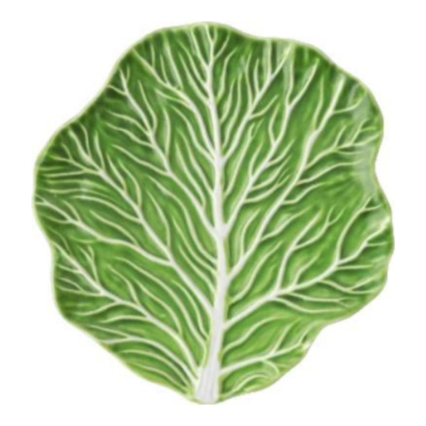 Cabbage Salad Plate