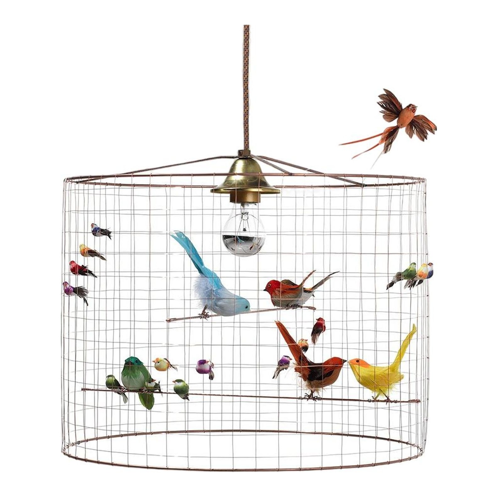 Mathieu Challières Petite Voliere Pendant Light