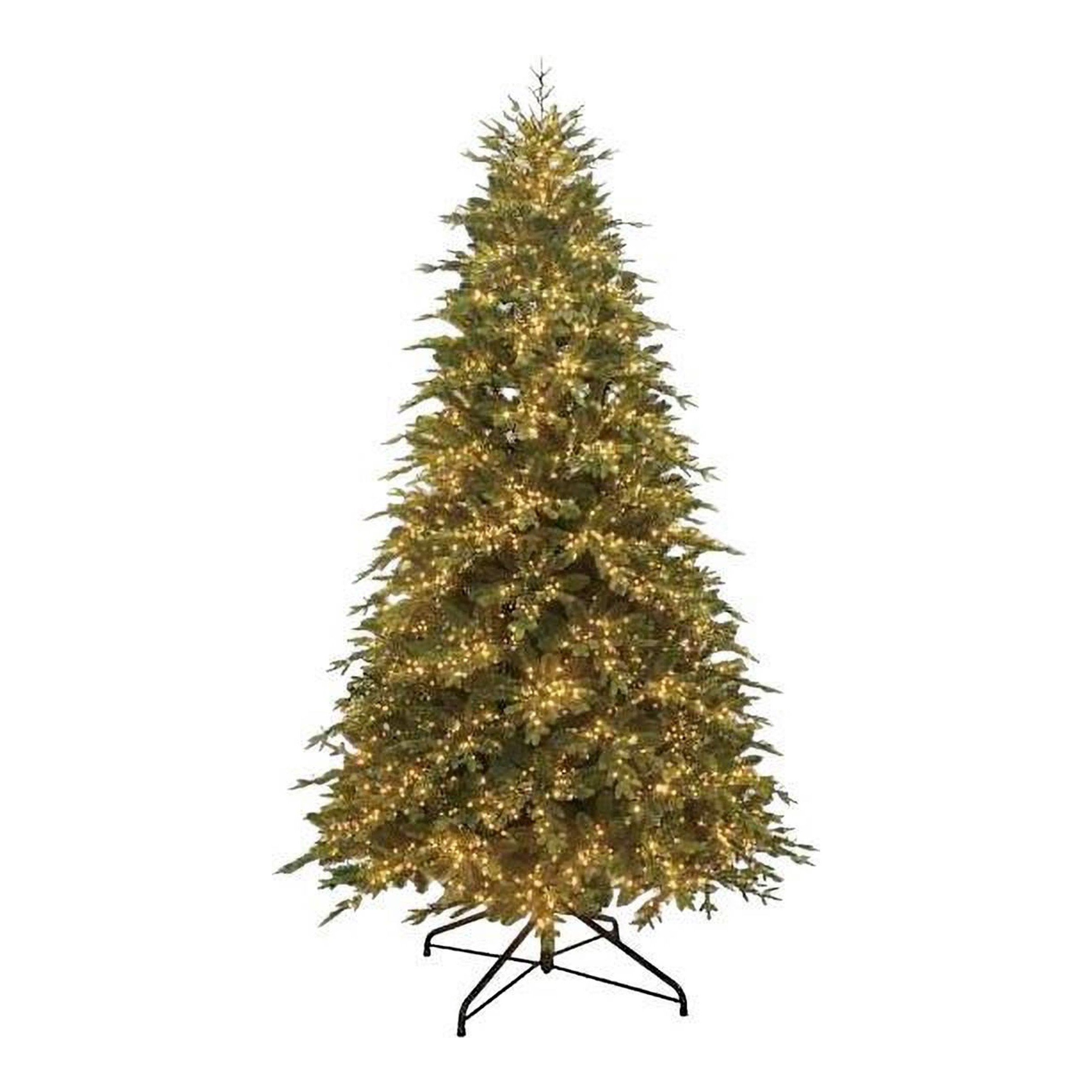 (C1) Pre-Lit Bradley Spruce Tree, 9'
